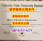 造假研究生学位证书CSU学位证书真的一样】造假本科学位证书