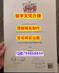 英语专业《Lancaster文凭证书2021版】在校挂科了，不想读了，成绩不理想怎么办？？？