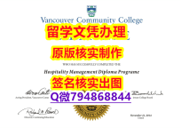 本科学生购买《VCC文凭证书最新版】留学生在哪里购买文凭证书