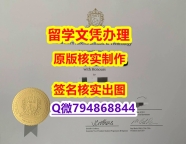 全套CT《NAIT文凭证书留信网认证】学历认证 本科