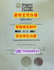 【学历认证造假】《Niagara文凭证书补办步骤】造假成绩单