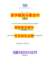 最新版大学文凭证黑工业TUM学位证书可办理】文凭如何办理，怎么办理