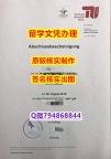 (颁发证书)《TUB文凭证书2019版】国外烫金照片