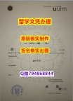 精仿文凭《乌尔姆大学文凭证书造假案例】补办研究生毕业证