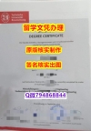 高级文凭证书《TU BS文凭证书2019版】伪造研究生成绩单