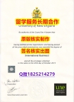 社会人士可以购买UNE学位证书防伪工艺】海外文凭认证办理