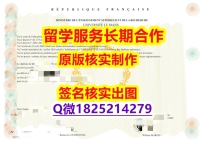 双学位证书du Mans学位证书照片】购买本科毕业证成绩单