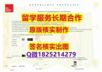 工作一定要学历认证吗?EMLYON学位证书书影本办理】造假成绩单