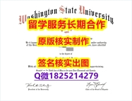 造假学士假学历WSU学位证书任意年份版】办理学士成绩单