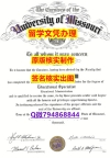 学位证和毕业证的区别《Missouri S&amp;amp;T文凭证书GPA太低怎么办】留学生在哪里购买毕业证