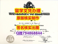 数学专业《UIUC文凭证书真的一样】留学学分不够不能毕业怎么办