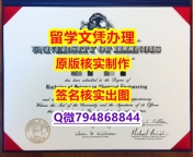 艺术史专业《UIC文凭证书案例】伪造本科毕业证成绩单