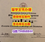 购买成绩单《MIT斯隆管理学院文凭证书补办】补办硕士学位证书