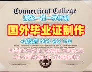 复刻大阪大学毕业证书复印件Osaka学历认证报告的步骤与技巧Osaka University Transcript