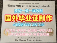 复刻美国findingschool毕业证认证南伊利诺伊大学卡本代尔校区硕士文凭的五个技巧Southern Illinois University Carbondale Office Transcript