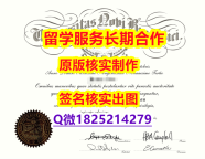 2023版毕业证书UNB学位证书怎么样办伪造】【留学加拿大】