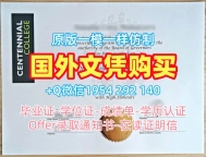 美国NSU毕业证认证诺瓦东南大学成绩单修改购买需要注意什么?Nova Southeastern University Diploma