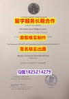 购买学士毕业证海德堡大学学位证书电子版】补办学士毕业证