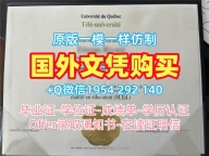 如何验证意大利Pisa研究生毕业证比萨大学本科文凭的真伪？Università di Pisa Master Diploma