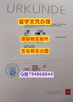 2018版《美因茨大学文凭证书2019版】伪造学士毕业证
