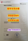 艺术史专业《不来梅大学文凭证书复刻】补办学士毕业证