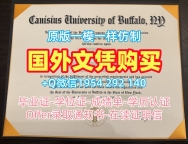 澳洲latrobe毕业证认证拉筹伯大学学位证书实拍图办理需要哪些材料?La Trobe University Office Transcript