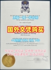 美国IIT毕业证和学位证伊利诺伊理工学院学位证书办理:留学挂科的选择Illinois Institute of Technology Master Degree