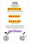 一手制作《哈勒-维滕贝格MLU大学文凭证书材料缺失】伪造本科成绩单
