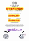 伪造学位证哈勒-维滕贝格MLU学位证书出售】伪造毕业证成绩单