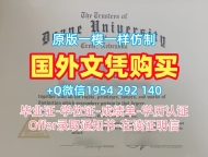 定制华伦西亚大学毕业证书UV电子版学位证书的成功案例Universidad de Valencia Diploma