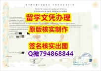 艺术史专业《ComUE文凭证书怎么样造假】补办学士毕业证成绩单
