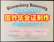 如何轻松复刻阿姆斯特丹大学毕业证书电子版UvA文凭证书英文Universiteit van Amsterdam Graduate Certificate