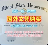 如何复刻芝加哥洛约拉大学研究生毕业证书LUC学历认证报告的详细指南Loyola University Chicago Office Transcript