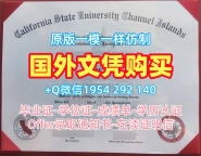 如何顺利办理加拿大Calgary毕业证认证卡尔加里大学文凭毕业证Université de Calgary Master Degree