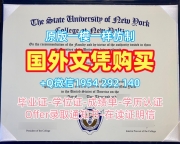 定制美国UCF毕业证成绩单中佛罗里达大学文凭证书的详细指南University of Central Florida Master Diploma