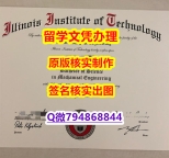 做毕业证书《IIT文凭证书永久存档】办理研究生毕业证成绩单