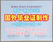 揭秘伊利诺伊大学毕业证书电子版UI研究生学位证书的获取方式University of Illinois Office Transcript