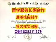 办理CalTech学位证书 在哪里可以伪造】外国文凭在中国可以用吗?