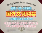 特拉华大学本科毕业证书UDel文凭证书设计的六个申请条件University of Delaware Degree