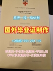 科技设计大学毕业证认证SUTD学位证书实拍图的获取方式University of Technology and Design Office Transcript