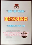 复刻瓦伦西亚理工大学毕业证书复印件UPV硕士学位的最佳方法Universidad Politécnica de Valencia Graduate Certificate