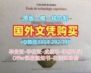 加拿大MSVU毕业证成绩单圣文森特山大学文凭证书英文的五个重要信息Mount Saint Vincent University Master Diploma
