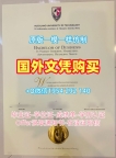 一步步教你办理美国UMN毕业证书电子版明尼苏达大学双城分校硕士学位证书University of Minnesota – Twin Cities Bachelor Diploma