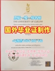 如何准备瑞金大学硕士毕业证Regent研究生文凭证书申请材料？Regent University Office Transcript