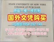 南非约翰内斯堡大学硕士毕业证Johannesburg本科文凭证书办理全攻略University of Johannesburg, South Africa Degree Certificate