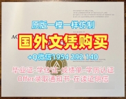 如何辨别圣路易斯华盛顿大学毕业证成绩单wustl研究生文凭证书？Washington University in St. Louis Offer letter