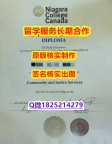 购买学士文凭证书Niagara学位证书靠谱吗?】补办硕士毕业证