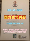 圣马克与圣约翰大学学院本科毕业证书UCP学历认证报告购买需要注意什么？Marjon University Plymouth Master Degree