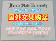 办理德国Ulm毕业证成绩单乌尔姆大学学历证书的五个技巧Universität Ulm Office Transcript