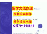 最新版学位证《泰瑞维提理工学院文凭证书钢印完美】伪造学士文凭证书
